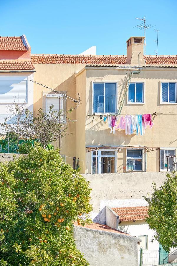 Terrace With River View Lisboa المظهر الخارجي الصورة